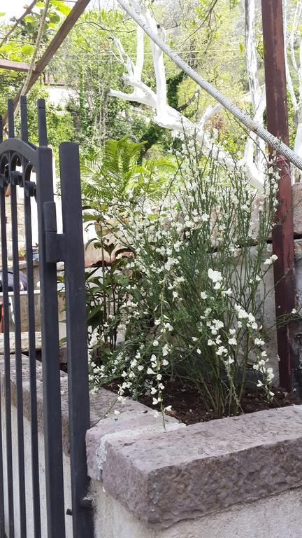 Apartment Stern Perast Ngoại thất bức ảnh