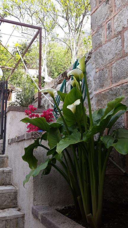 Apartment Stern Perast Ngoại thất bức ảnh